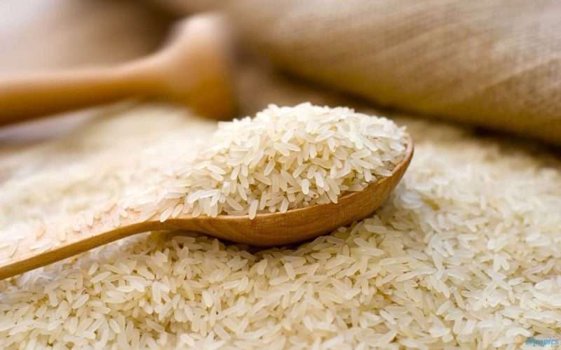 واردات "برنج" هر سال بیشتر از پارسال+عکس