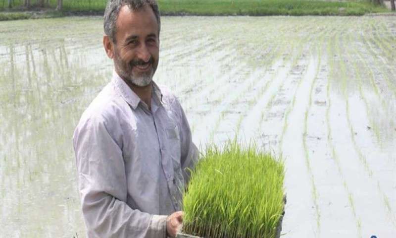 افزایش تولید 3 هزار مزرعه در ایران + عکس
