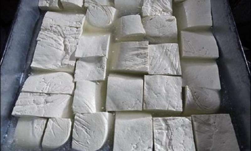 افزایش مشتری پنیر ایرانی در بازارهای جهان+عکس