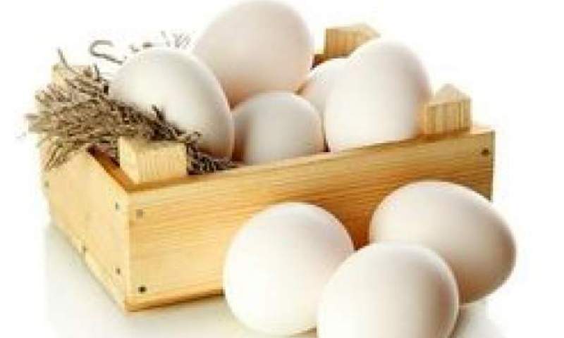 قیمت تخم مرغ داخلی در بازار چند؟