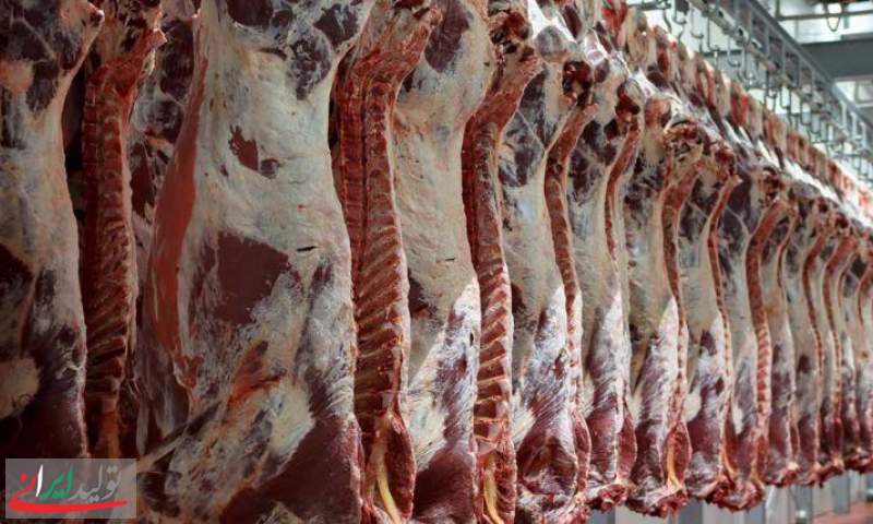 صادرات گوشت گرم و منجمد تولید داخل و وارداتی ممنوع است